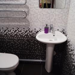 Фото Отель Вингс