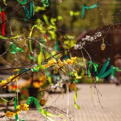 Фото Отель База отдыха Дербовеж