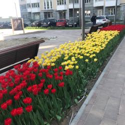 Фото Апартаменты на улице Бориса Пастернака 49