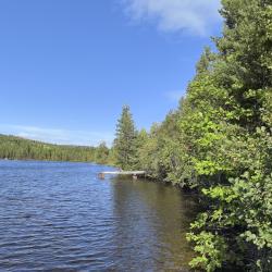 Фото Отель Кускас