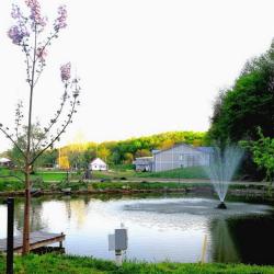 Фото Отель Гостиничный комплекс Кремниевы термы