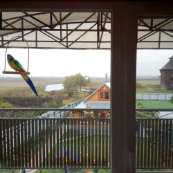 Фото Отель Гостевой дом Волна