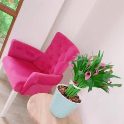 Фото Отель Анести