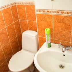 Фото Отель Old Flat на Некрасова
