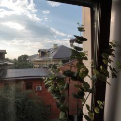 Фото North Star Hotel (Норд Стар Отель)