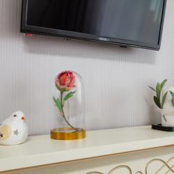 2-комнатные апартаменты улучшенные