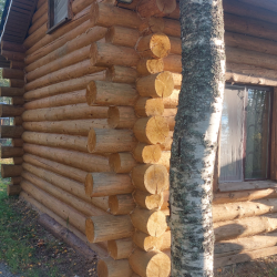 Фото Отель Берлога