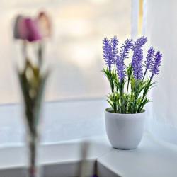 Фото Апартаменты на проспекте Карла Маркса 295А