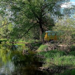 Номер стандарт Woody Yellow