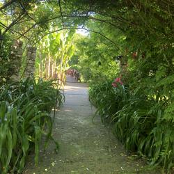 Фото Отель Alaku Hotel (Алаку)