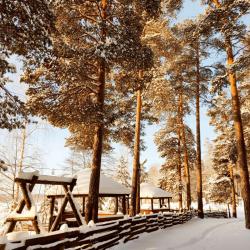 Фото Отель Загородный клуб Лесная сказка