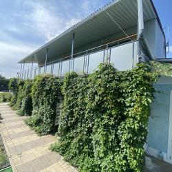 Фото Отель Южные ночи