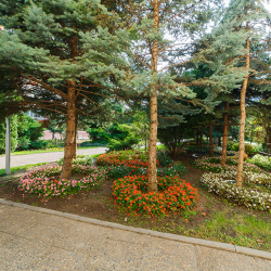 Фото Отель Санаторий Надежда