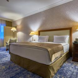 Номер полулюкс с 1 двуспальной кроватью