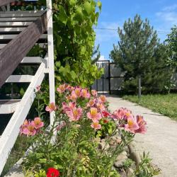 Фото Отель Подсолнух Village (Вилладж)