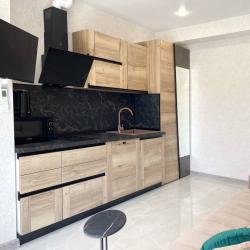 1-комнатные апартаменты студия Газовиков 3А/3