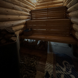 Фото Отель Дом в лесу