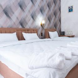 Фото Отель Gold Star Palace Hotel (Голд Стар Палас)