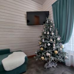 Фото Отель Карельский мыс
