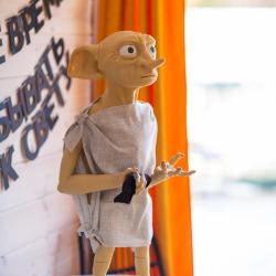 Коттедж стандарт Гриффиндор