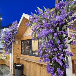 Фото Отель ВыДома на Володарского 26