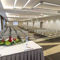 фото 52 Novotel Moscow Sheremetyevo (Новотель Шереметьево)