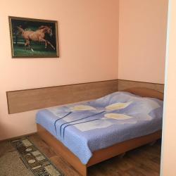 Номер эконом с 1 двуспальной кроватью