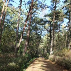 Фото Отель Дом Рыболова