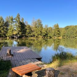 Фото Отель Вилла Першино