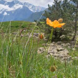Фото Отель Гостевой дом 1950