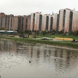 Фото Апартаменты на улице Пражская