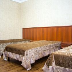 3-местный номер стандарт (с пансионом)