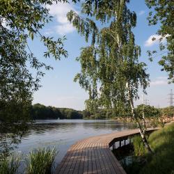 фото 41 Satelinn Moscow Khovrino (Сателинн Москва Ховрино) (бывш. Холидей Инн Экспресс Ховрино)