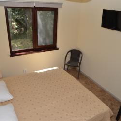 2-местный номер комфорт улучшенный с 1 двуспальной кроватью