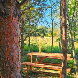 Фото Отель Олин лес