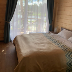 Апартаменты стандарт #309