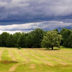 Фото Отель Гостиный дворик