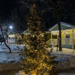 Фото Отель Глэмпинг Лес и Река