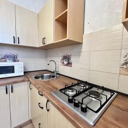 Фото Апартаменты на проспекте Ленина 44