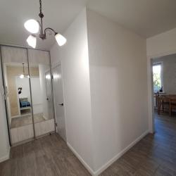 Улучшенная квартира с 1 спальней