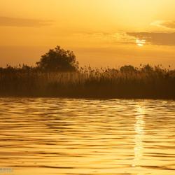 Фото Отель Тортуга