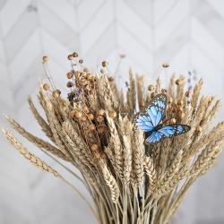 Апартаменты улучшенные