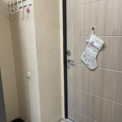 Фото Апартаменты на проспекте Красный 305