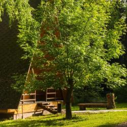 Фото Отель Солнечная на Оке