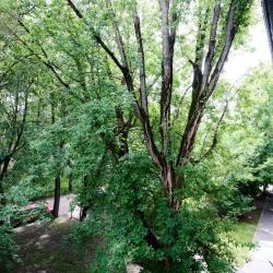 1-комнатные апартаменты студия Волоколамское шоссе, 88к5с5