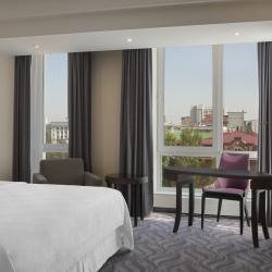 SHERATONPLAZA Ufa Congress Hotel (Шератон Плаза Уфа Конгресс) (бывш. Краун Плаза Уфа Конгресс) — 6d4e504fb25185805dac273197d0312c