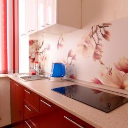 Фото Апартаменты на переулке Салтыкова-Щедрина