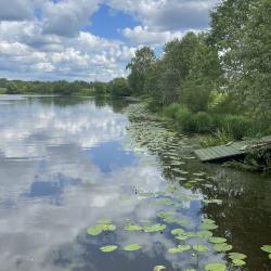 Фото Отель Прибрежный