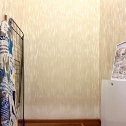 Фото Отель Декабрист на Проезжей