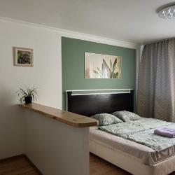 Фото Апартаменты на улице Курыжова 32